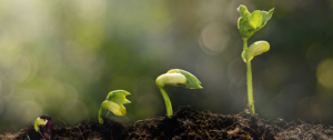 Doctors Answer Tips to Grow Your Practice GrowingPlant